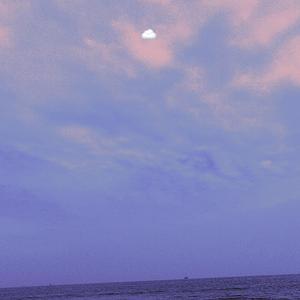 国产97公开成人免费视频
