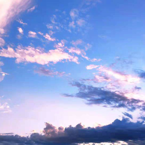 国产97公开成人免费视频
